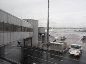 羽田空港　 250611 (1 - 1)